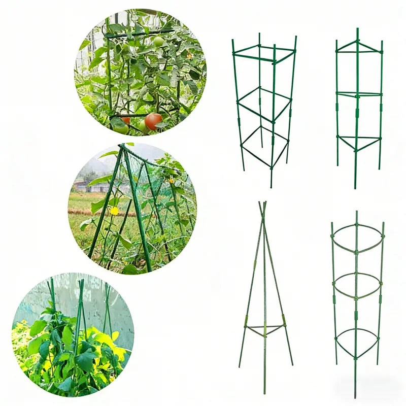 Garden Plant Support Cage