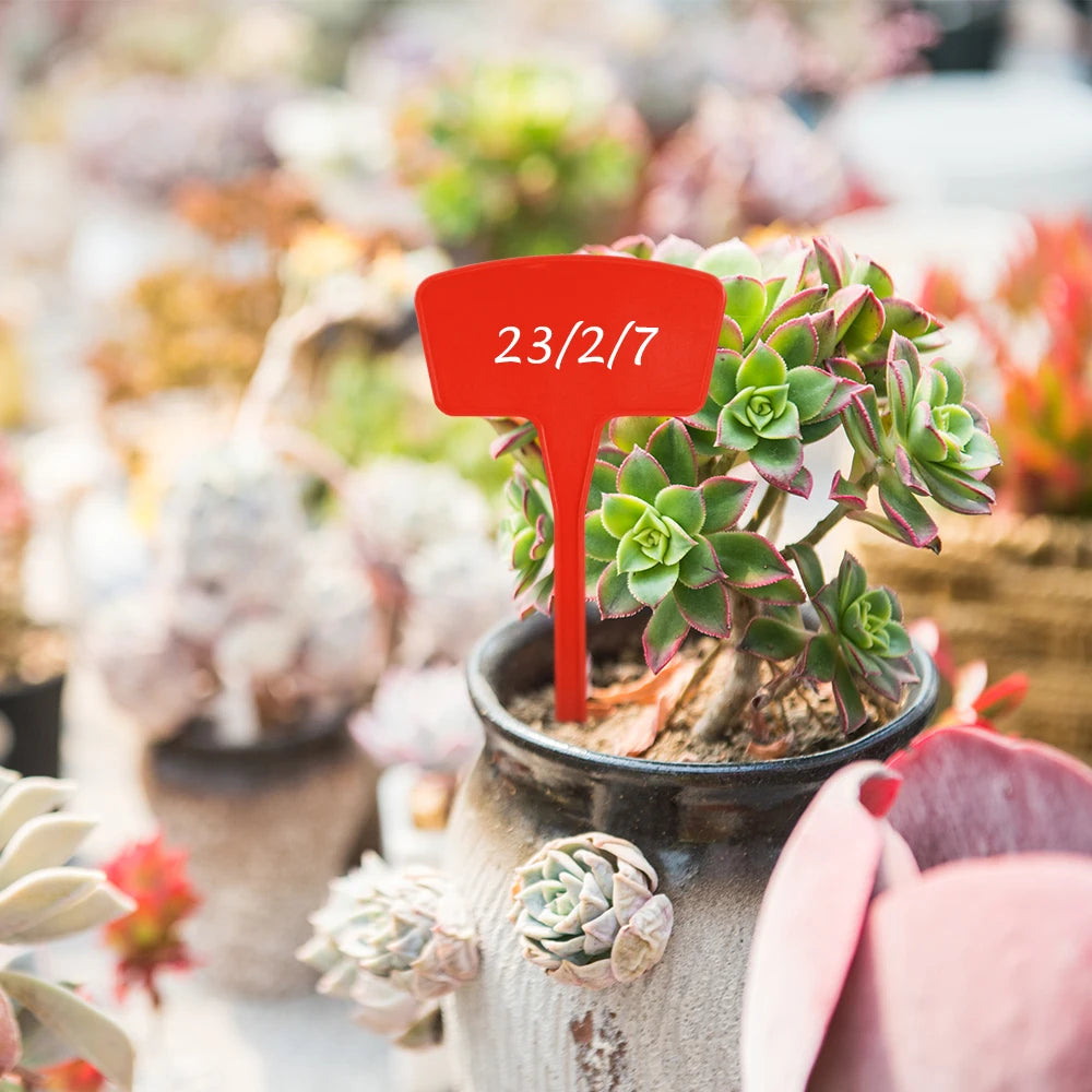 Tall Garden Plant Labels