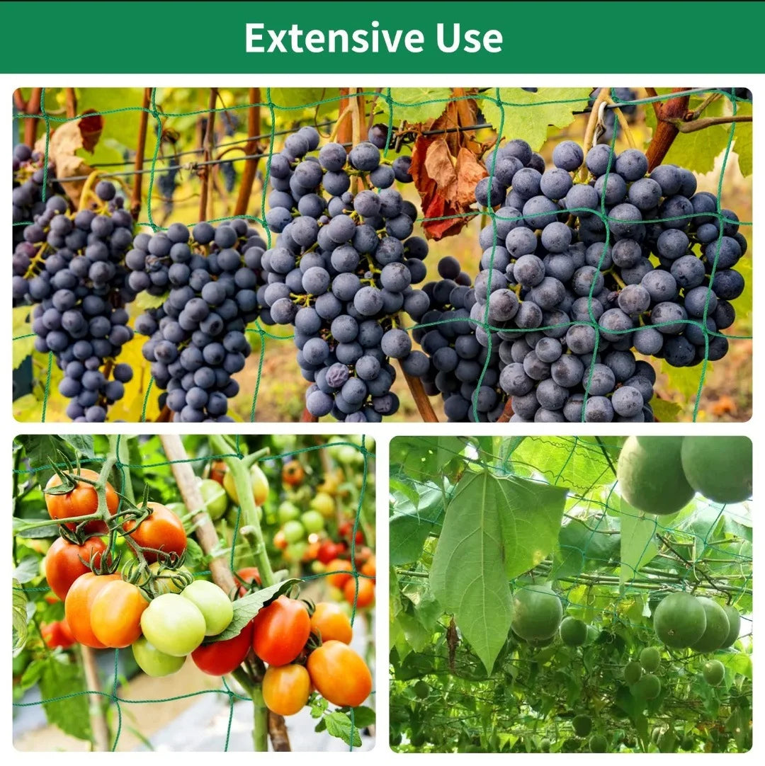 Garden Trellis Net for Climbing Plants
