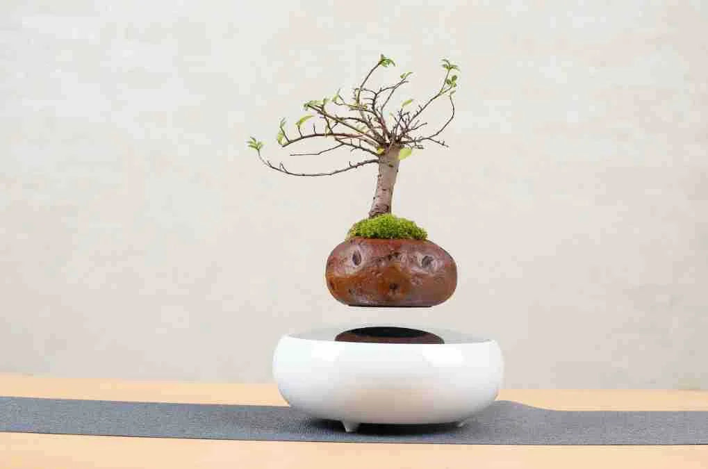 Magnetic Levitating Plant Pot – Floating Rotating Bonsai Planter
