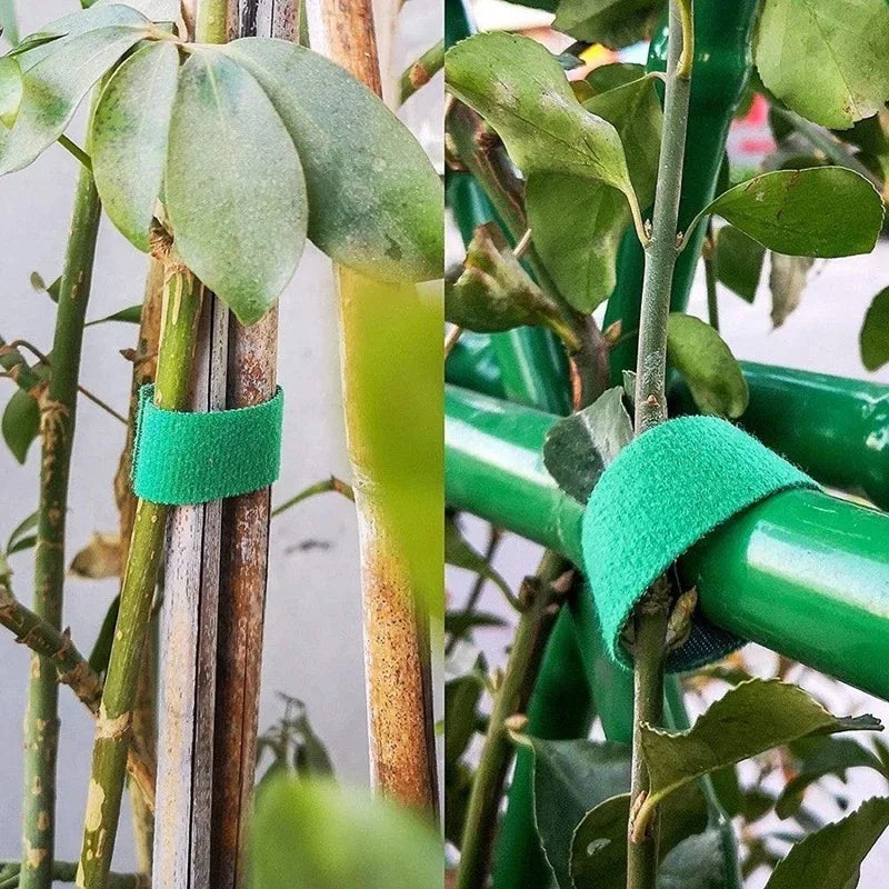 Garden Plant Support Ties