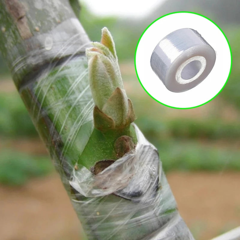 Plant Grafting Tape for Trees & Seedlings