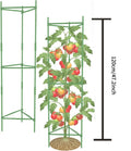 Garden Plant Support Cage