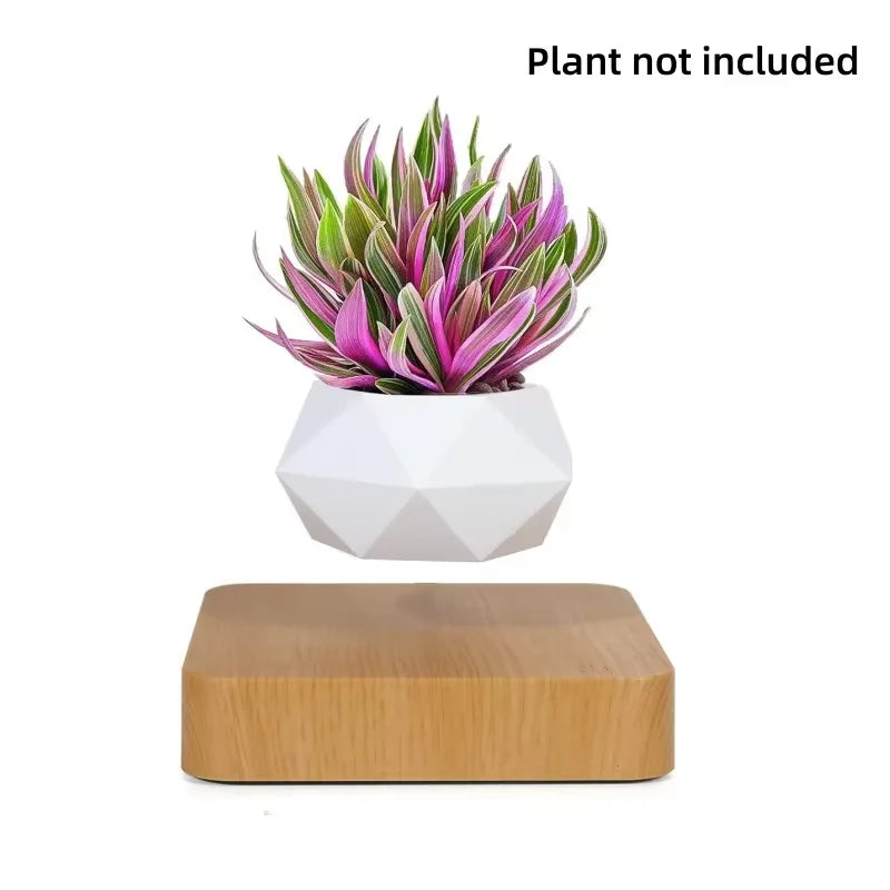 Magnetic Levitating Bonsai Pot – Floating Plant Holder with 360° Rotation