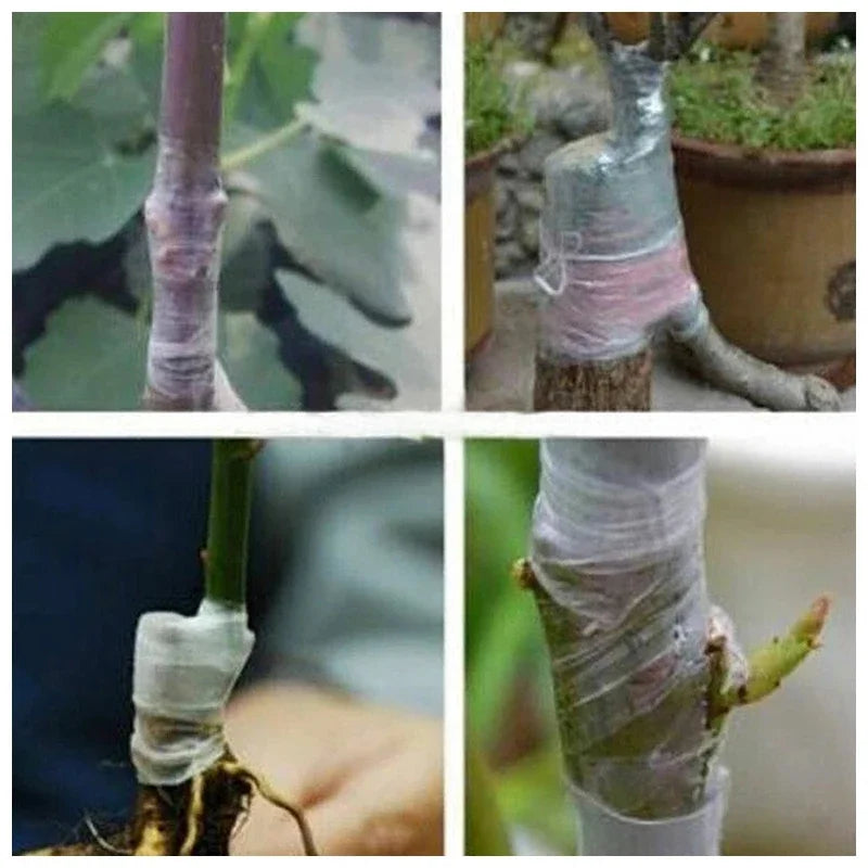 Plant Grafting Tape for Trees & Seedlings