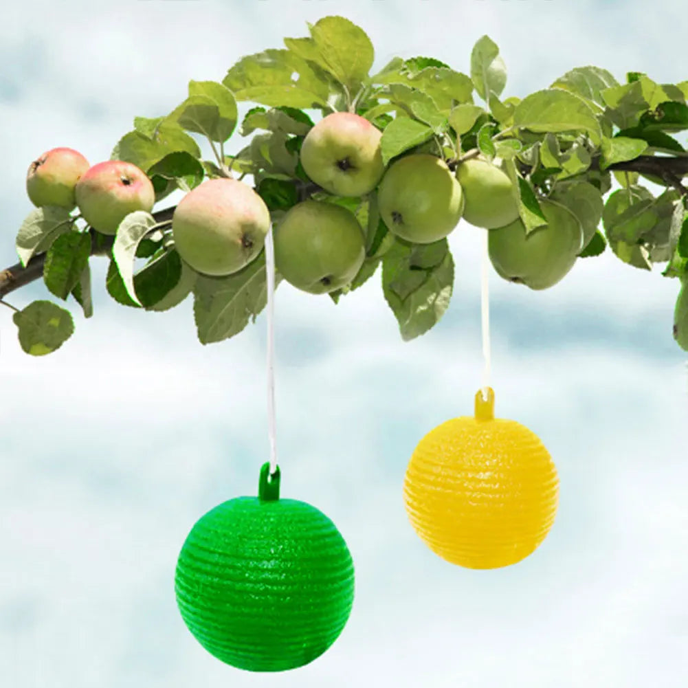 Hanging Fruit Fly Trap Ball