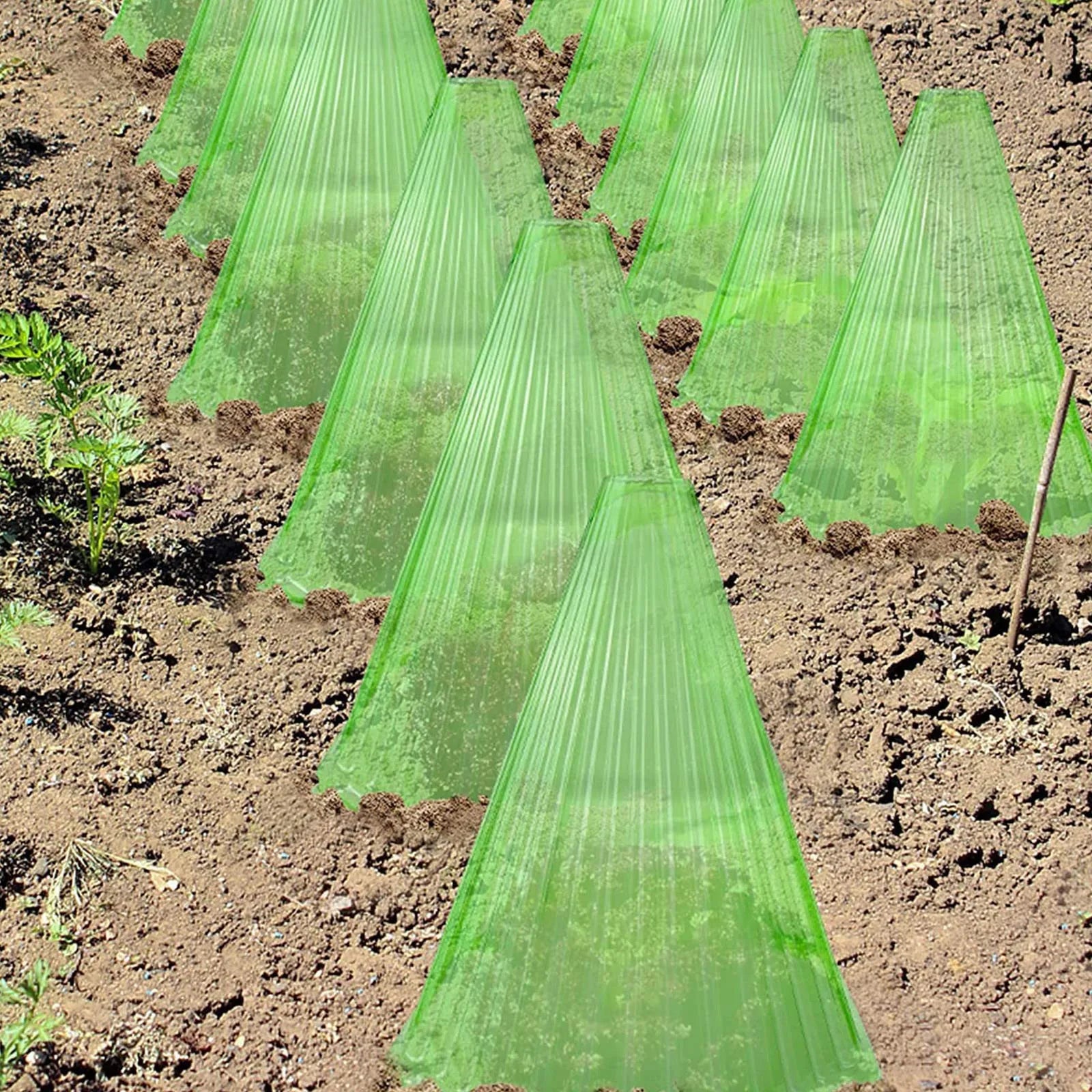 Seedling Protection Covers (10 Pack)