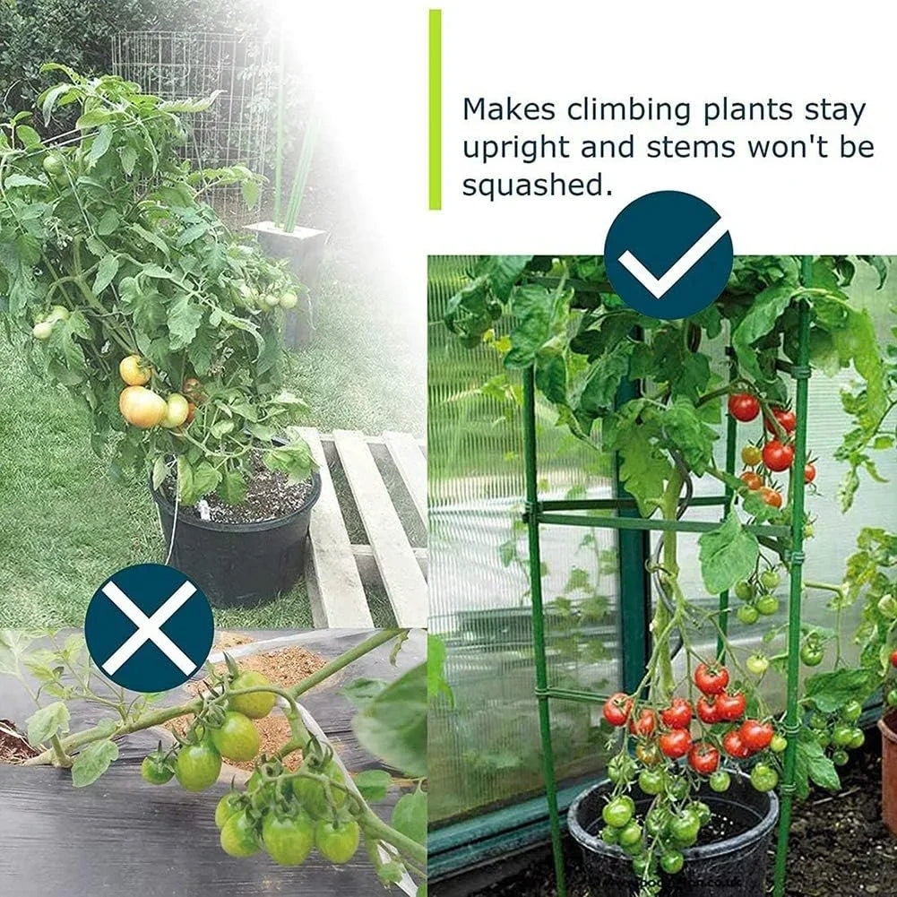 Garden Plant Support Cage