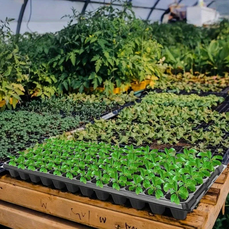 Reusable Seedling Nursery Pots Set – 10 Pack