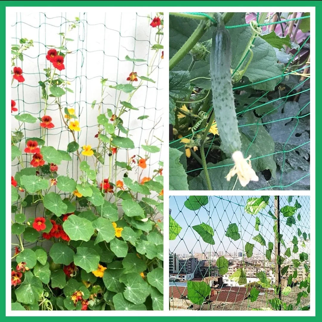 Garden Trellis Net for Climbing Plants