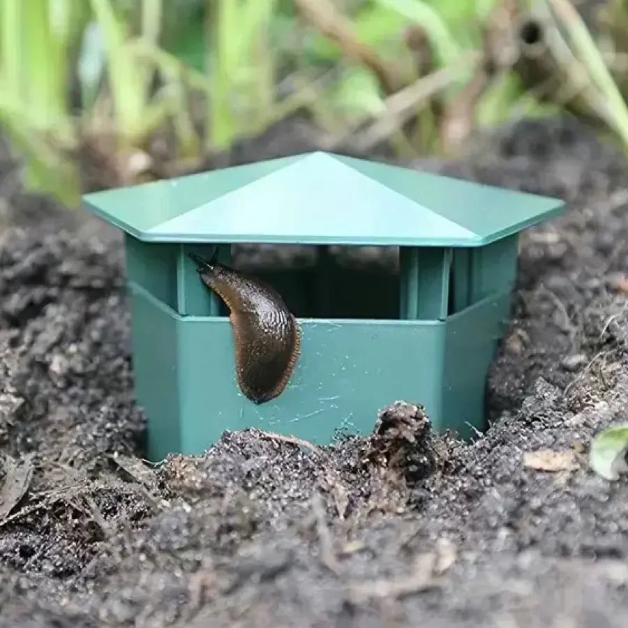 Reusable Garden Snail & Slug Trap