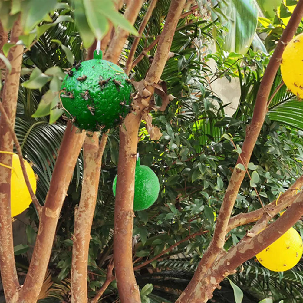 Hanging Fruit Fly Trap Ball