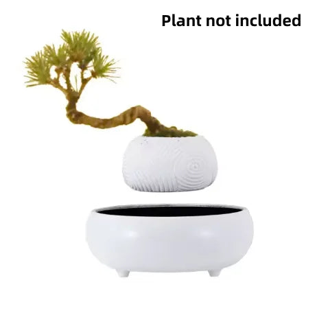 Magnetic Levitating Plant Pot – Floating Rotating Bonsai Planter