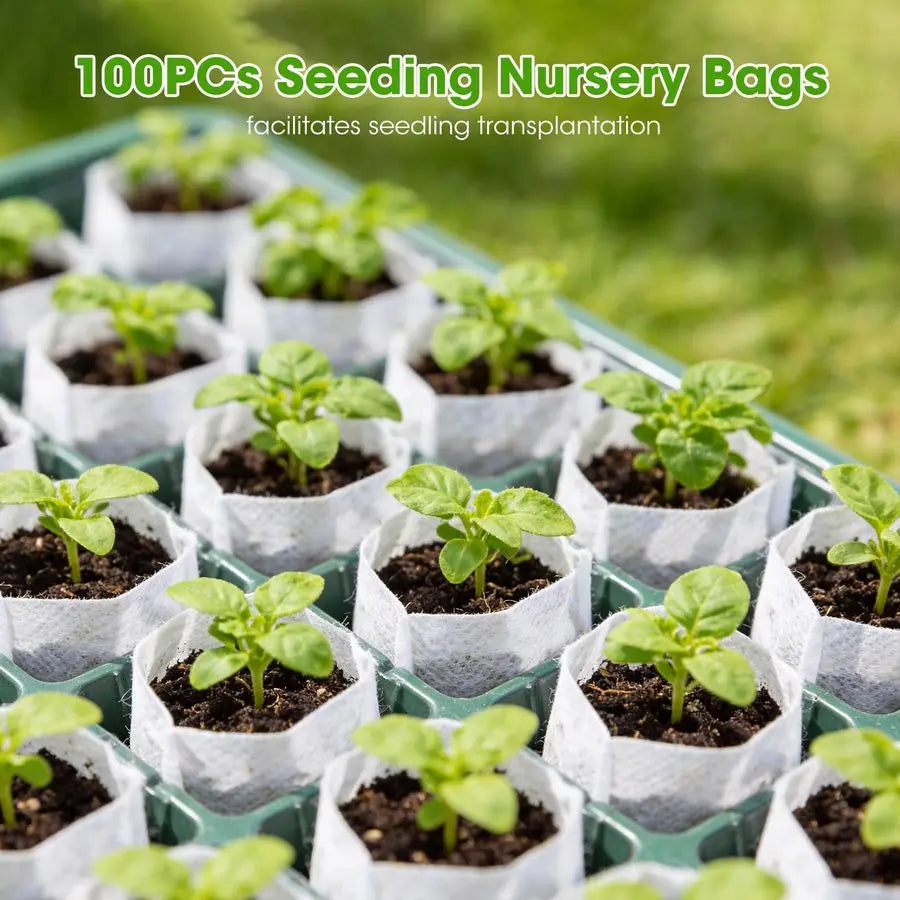 Seed Starter Tray Kit with LED Grow Light