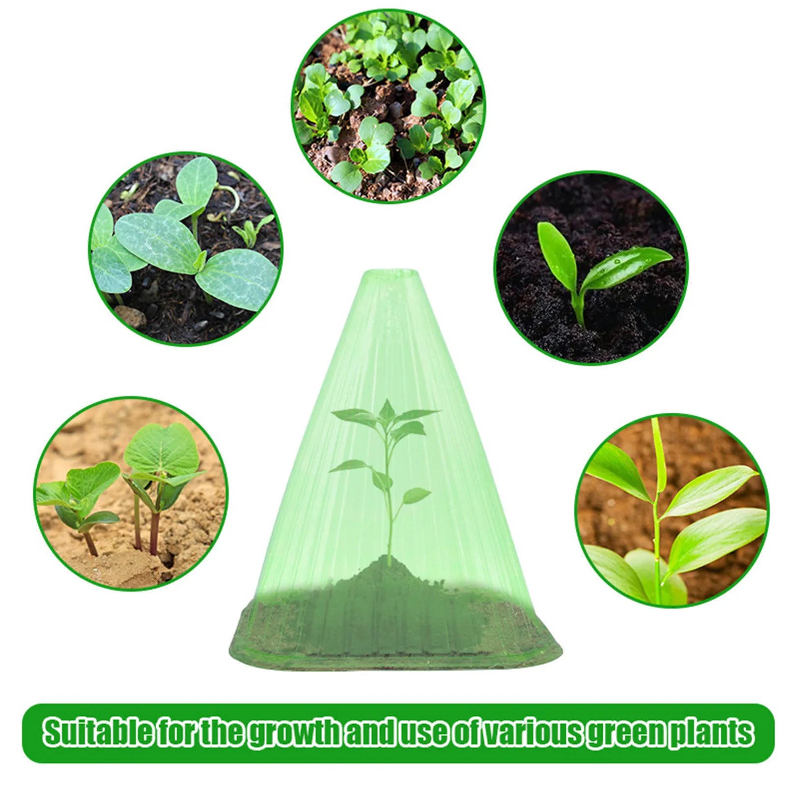 Seedling Protection Covers (10 Pack)