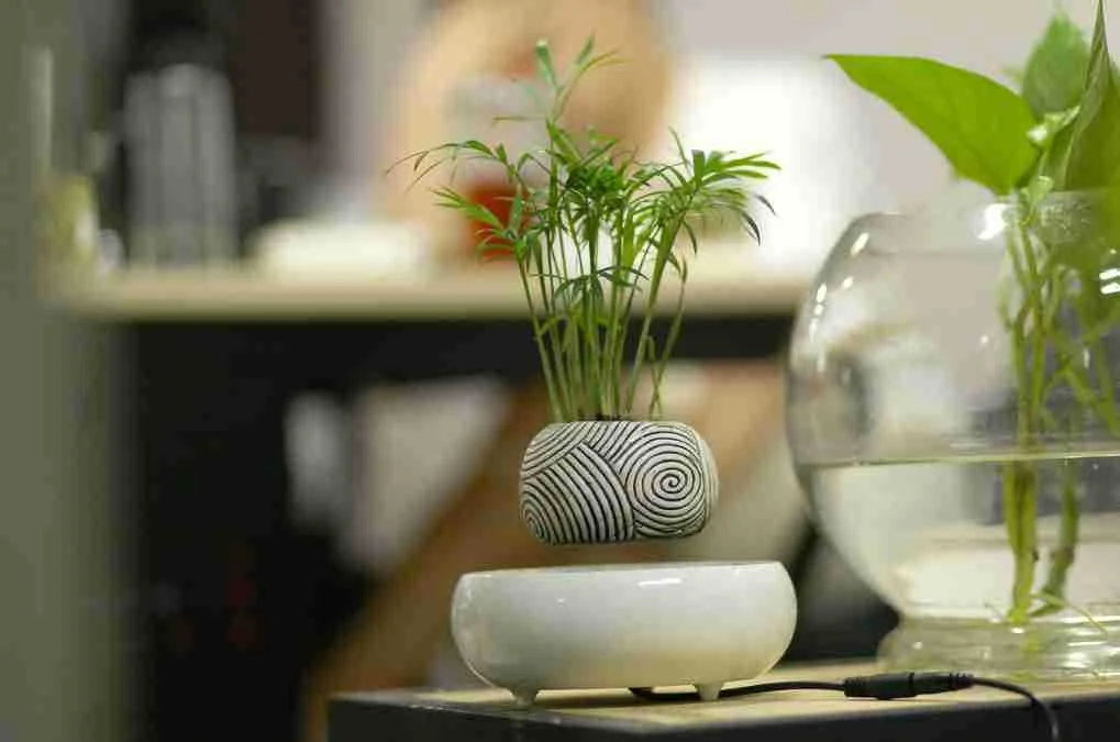 Magnetic Levitating Plant Pot – Floating Rotating Bonsai Planter