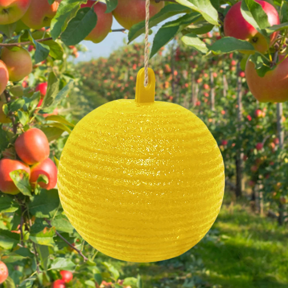 Hanging Fruit Fly Trap Ball