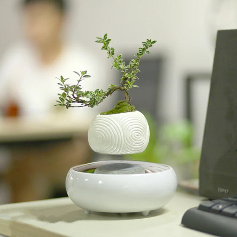 Magnetic Levitating Plant Pot – Floating Rotating Bonsai Planter