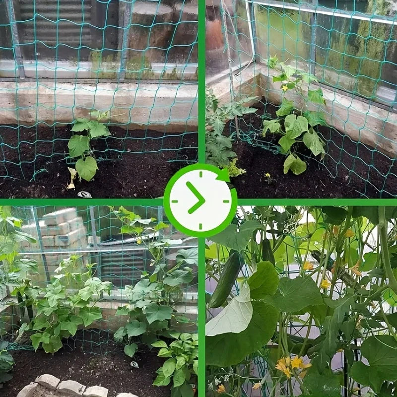 Garden Trellis Net for Climbing Plants