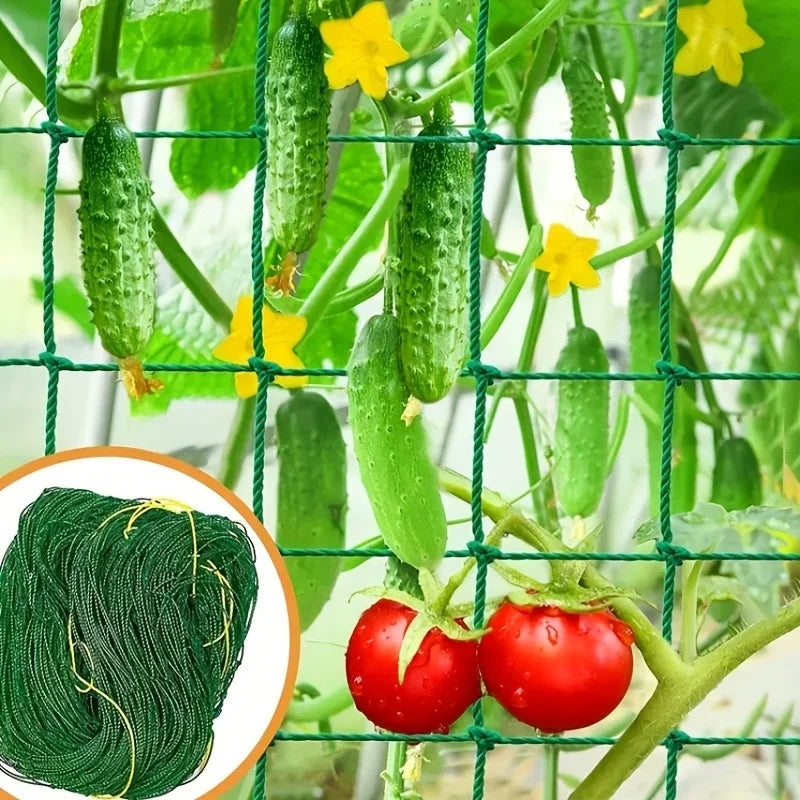 Garden Trellis Net for Climbing Plants