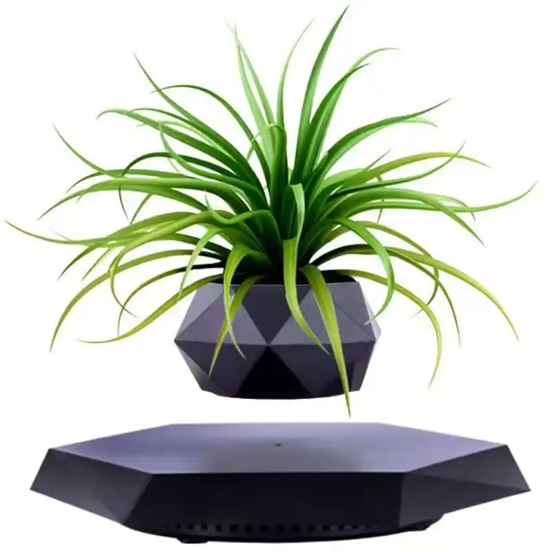 Magnetic Levitating Bonsai Pot – Floating Plant Holder with 360° Rotation