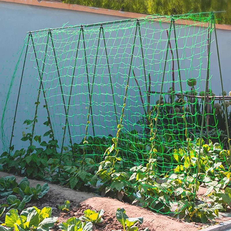 Garden Trellis Net for Climbing Plants