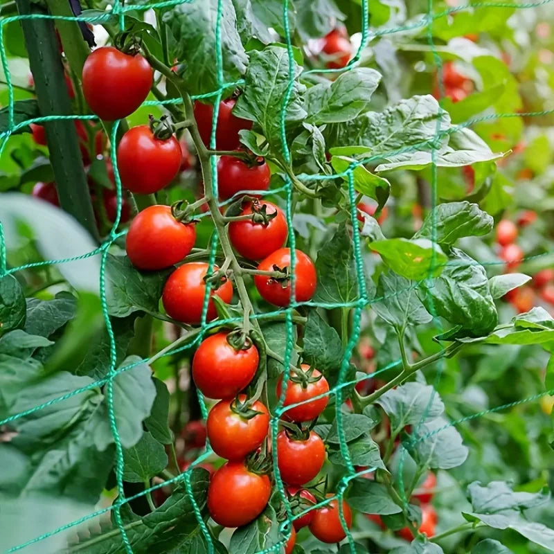 Garden Trellis Net for Climbing Plants