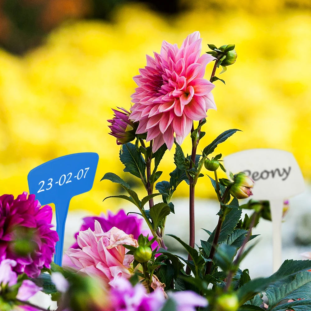 Tall Garden Plant Labels