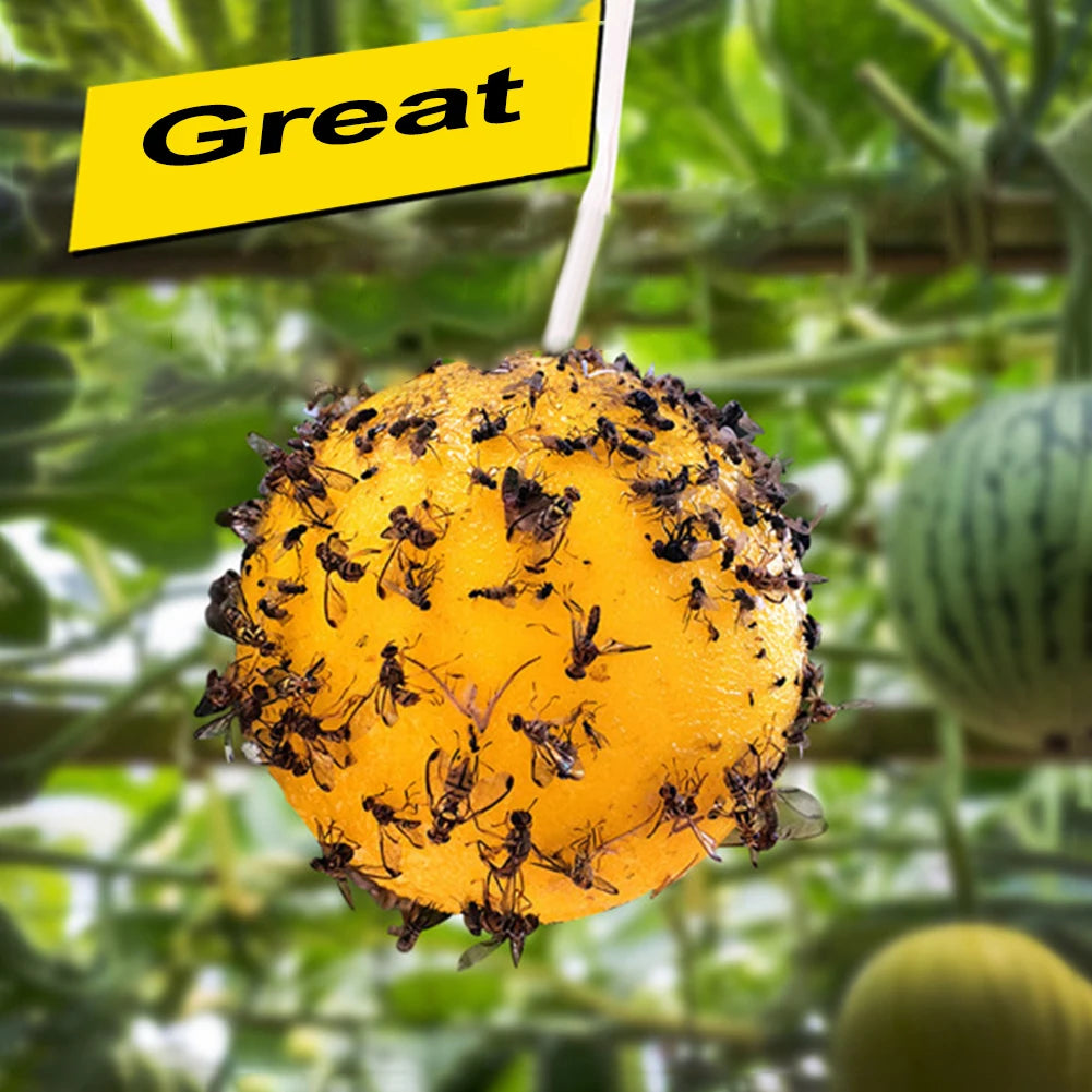 Hanging Fruit Fly Trap Ball