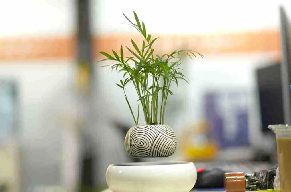 Magnetic Levitating Plant Pot – Floating Rotating Bonsai Planter