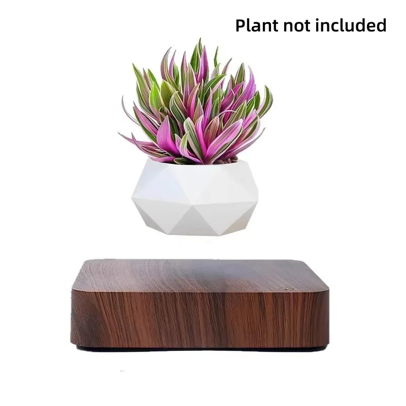 Magnetic Levitating Bonsai Pot – Floating Plant Holder with 360° Rotation