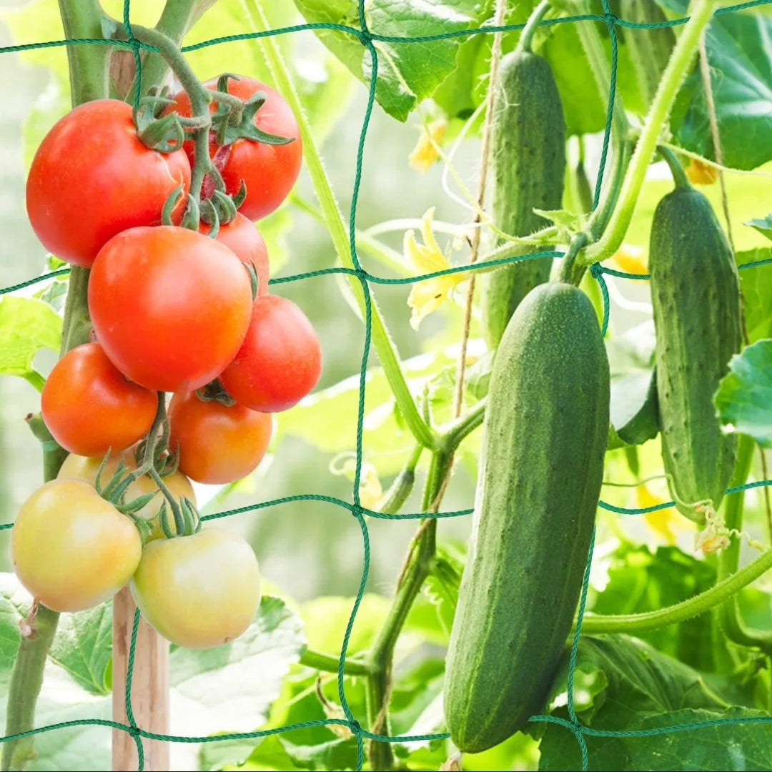 Garden Trellis Net for Climbing Plants