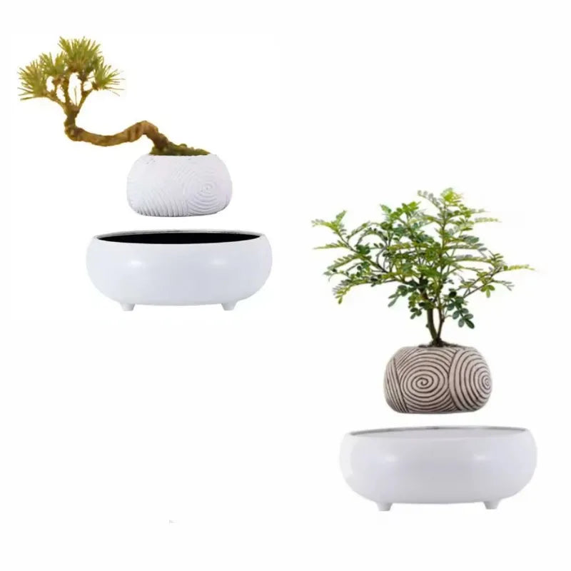 Magnetic Levitating Plant Pot – Floating Rotating Bonsai Planter