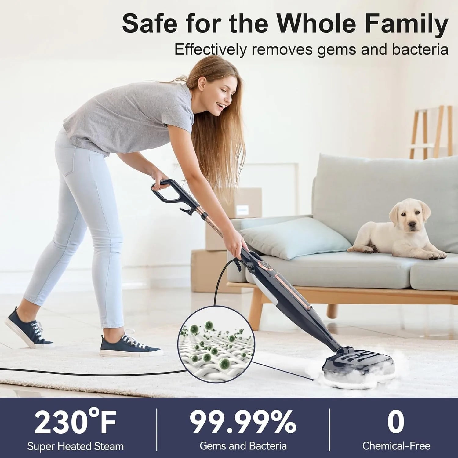 Rotating Scrubbing Steam Cleaner