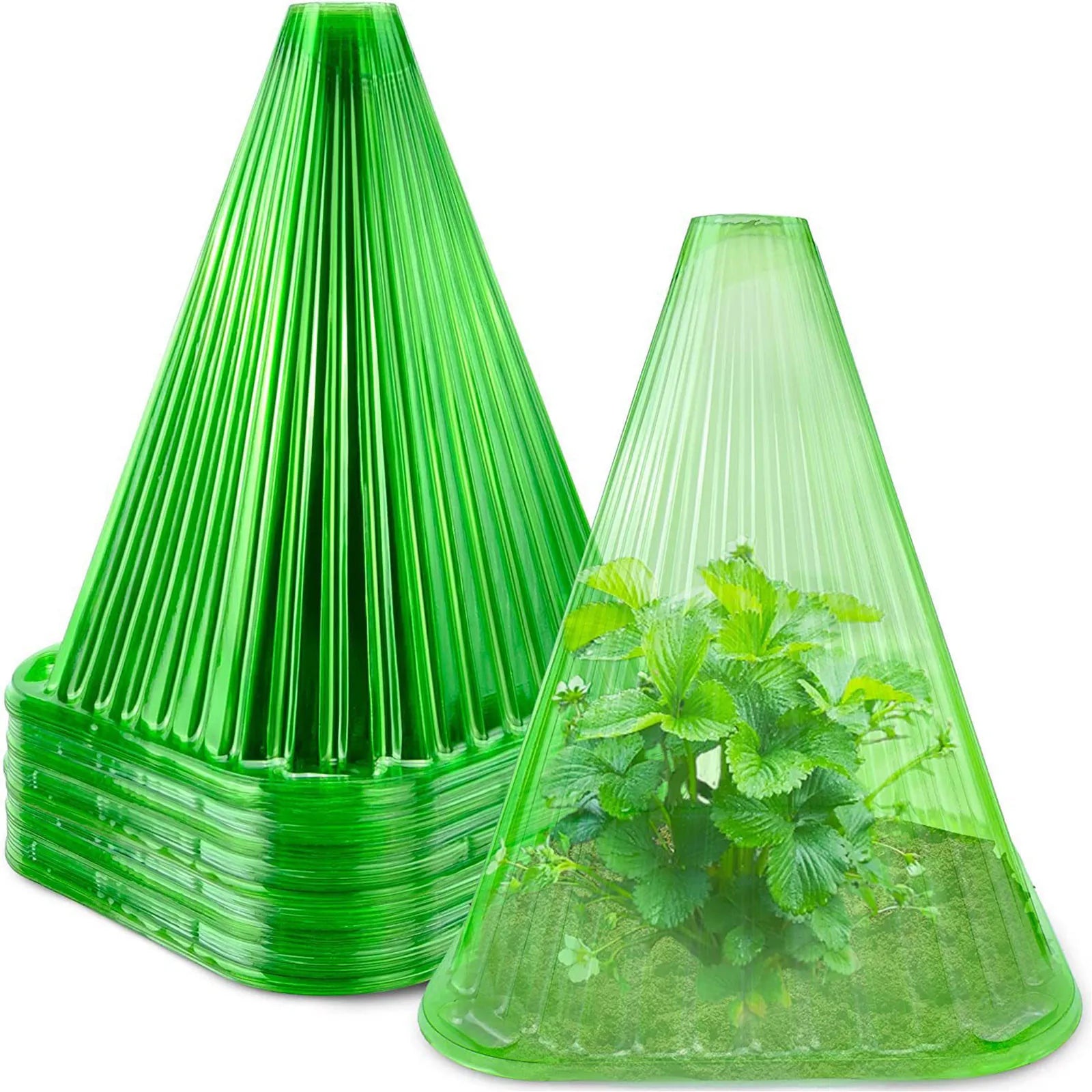 Seedling Protection Covers (10 Pack)