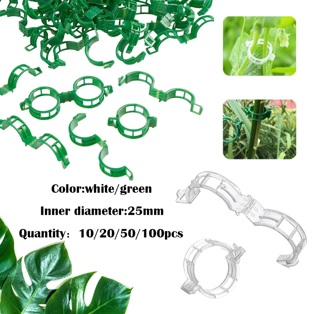 Reusable Plant Support Clips