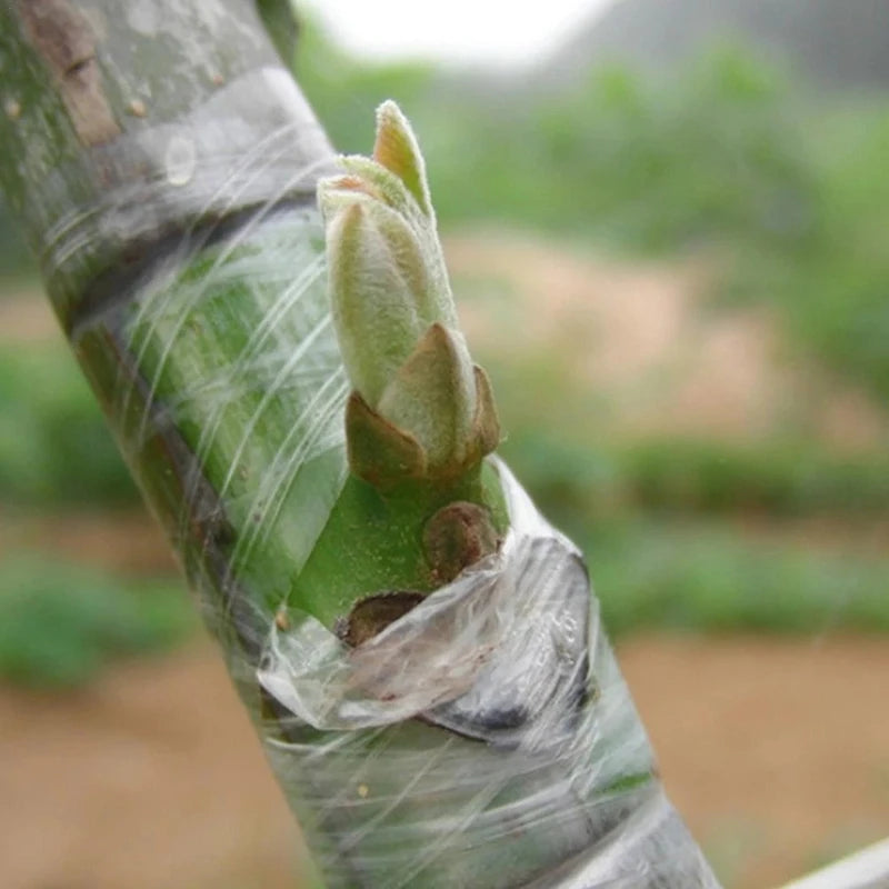 Plant Grafting Tape for Trees & Seedlings