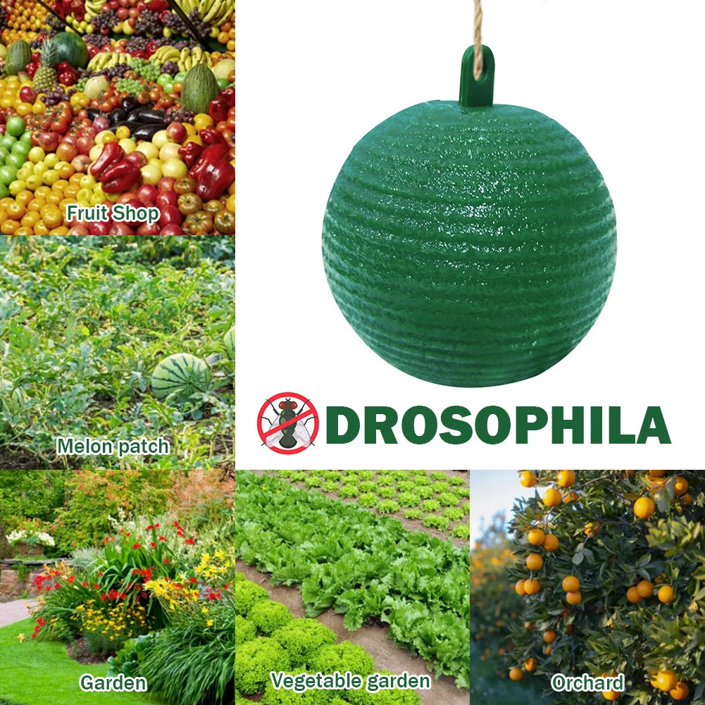Hanging Fruit Fly Trap Ball