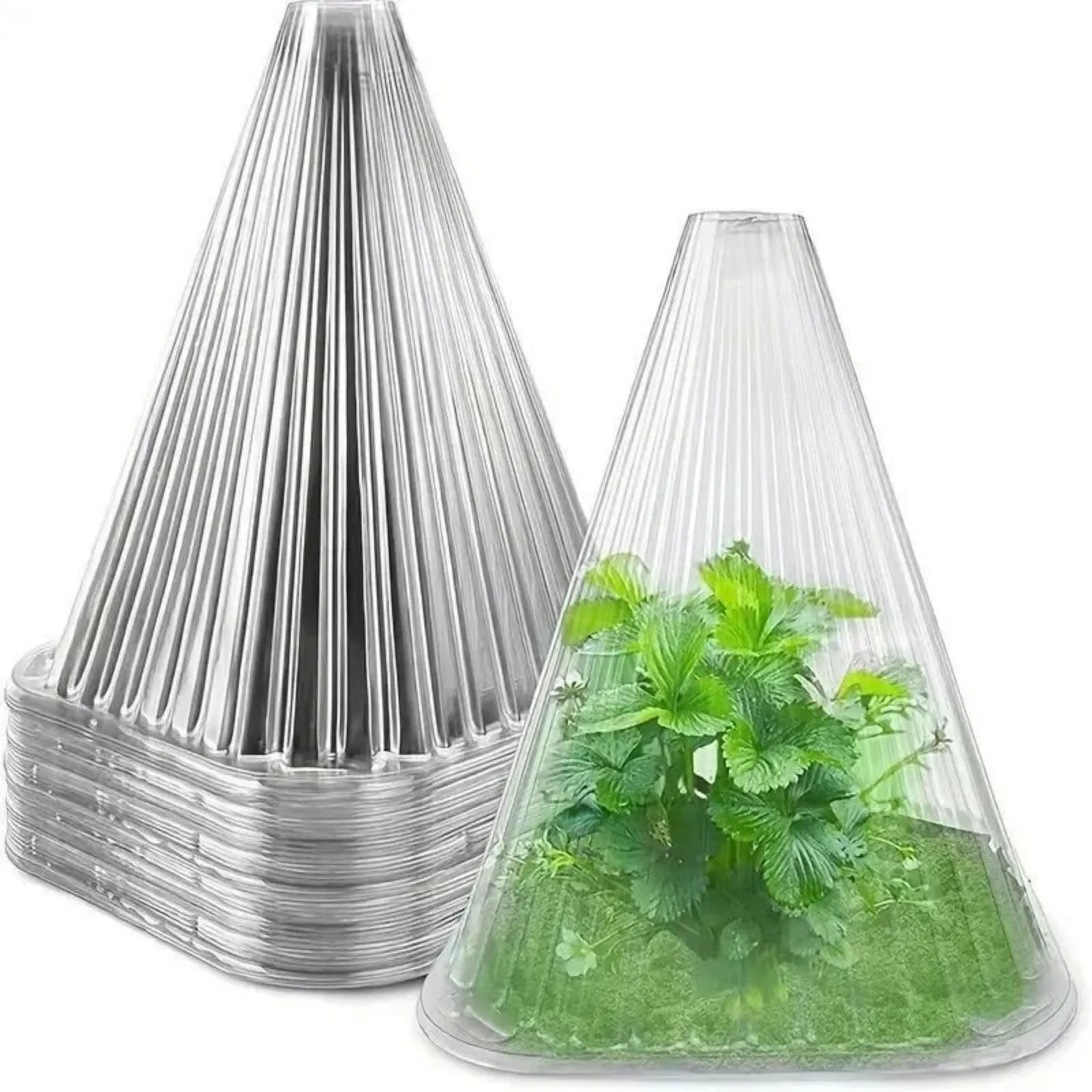 Seedling Protection Covers (10 Pack)