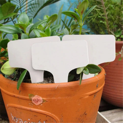 T-Type Plant Labels