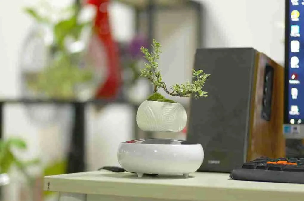Magnetic Levitating Plant Pot – Floating Rotating Bonsai Planter