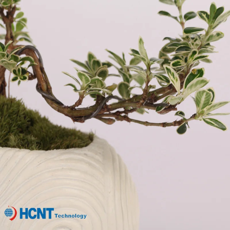 Magnetic Levitating Plant Pot – Floating Rotating Bonsai Planter
