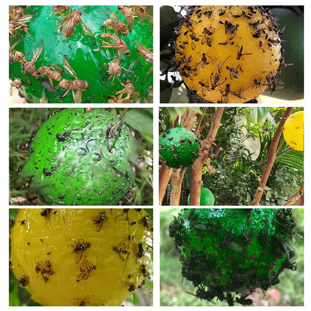 Hanging Fruit Fly Trap Ball